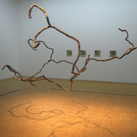 a flock of seagulls flying in the sky