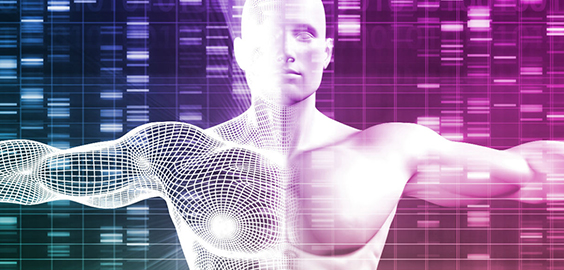 Research in the Department of Sport, Exercise and Rehabilitation at Northumbria University, Newcastle