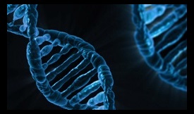 Viruses of Microbes-UK (VoM-UK) Conference 2025