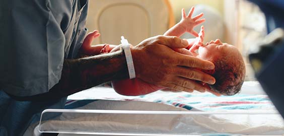 1 Programme Plans POD