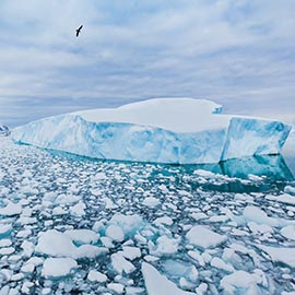 Iceberg Melting