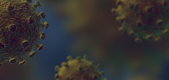 a close up of a fish