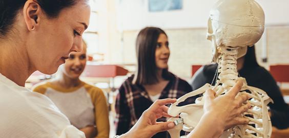 Lady holding a model skeleton