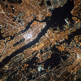 a close up of a reptile